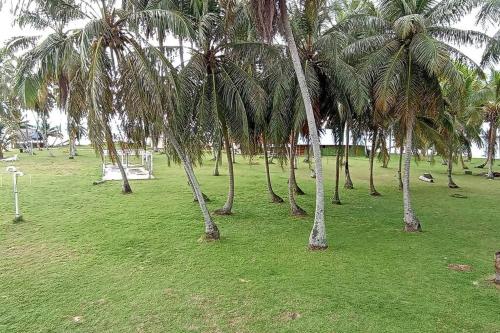 Cabaña frente al mar islas de San Blas icodub外面的花园