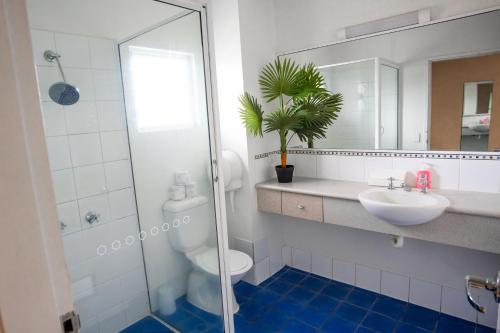 凯恩斯Bounce Cairns的浴室配有卫生间、盥洗盆和淋浴。