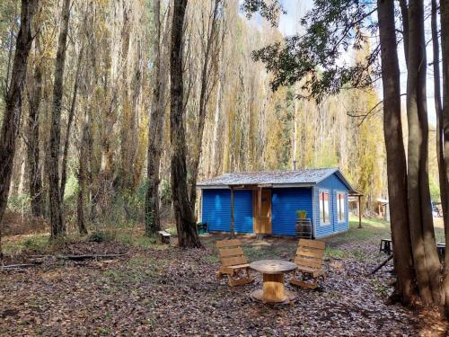 San Carlos de PurénCabaña 4 a 5 Pers Los Ángeles的树林中的蓝色小屋,配有野餐桌和椅子
