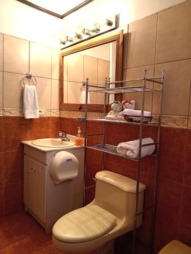 San JuanChavenogue Hotel的一间带卫生间、水槽和镜子的浴室
