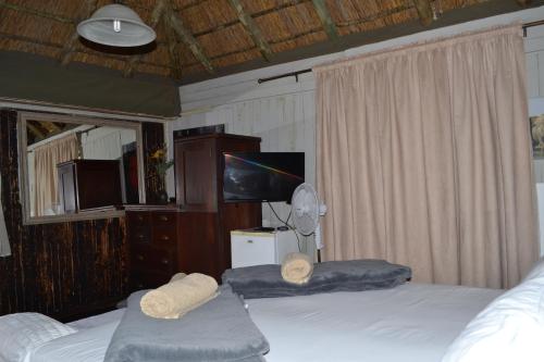 布隆方丹Thorn Tree Bloemfontein的一间卧室配有两张床和一台平面电视