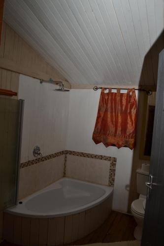 布隆方丹Thorn Tree Bloemfontein的一间带大浴缸和卫生间的浴室