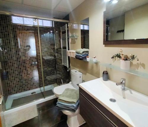 萨拉戈萨San Jorge - Ruta Mudéjar的浴室配有卫生间、淋浴和盥洗盆。
