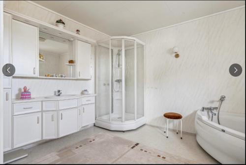 SundSkipperhuset的带淋浴和浴缸的白色浴室