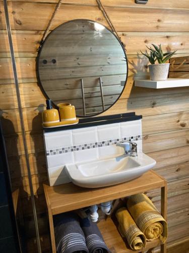 拉波塞雄Tiny house bois cosy « Halte là »的一间带水槽和镜子的浴室