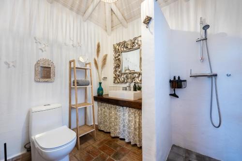 阿尔热祖尔Casa dos Cantoneiros的一间带卫生间、水槽和镜子的浴室