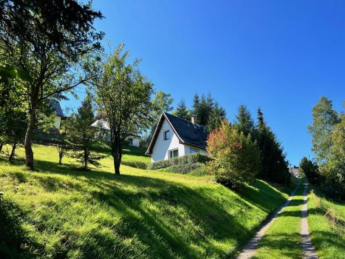 PobershauUrige Berghütte mit Kamin in Pobershau im Erzgebirge nahe Schwarzwassertal的草山上有路的房子