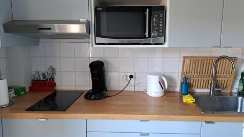 Annappeschambre cocooning的厨房台面配有微波炉和水槽
