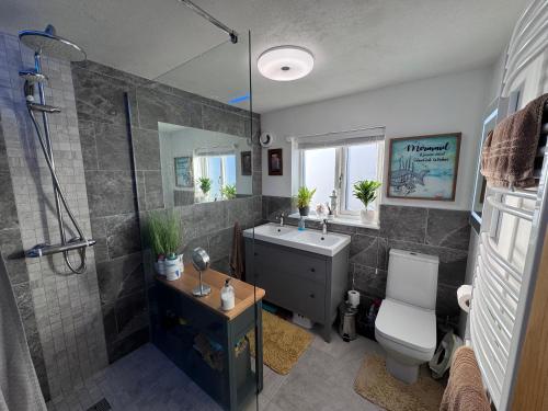 达宁顿堡Brick lodge house的带淋浴、盥洗盆和卫生间的浴室