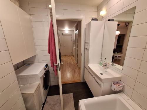 GreveApartment Hundige的一间带洗衣机和水槽的浴室