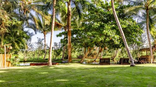喀巴里特Kibayo Lagoon Villa的公园里的一棵棕榈树