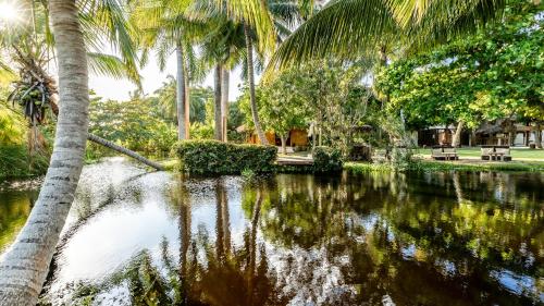 喀巴里特Kibayo Lagoon Villa的棕榈树和河流的水域