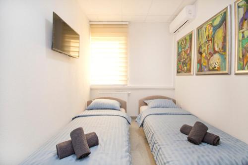 巴尼亚卢卡Apartmani Sebastijan的配有电视的客房内的两张单人床