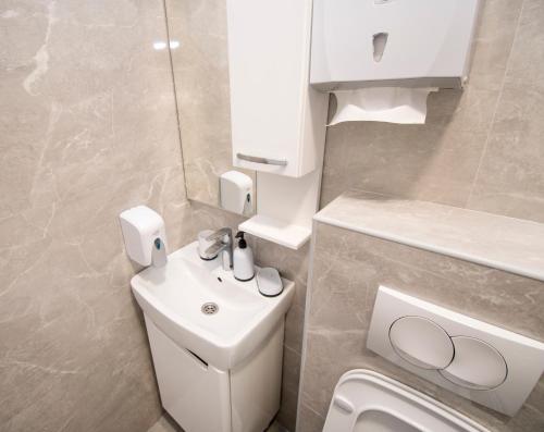 巴尼亚卢卡Apartmani Sebastijan的浴室配有白色水槽和卫生间。