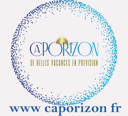 Caporizon - Villa Puy d'Aiguillon- Piscine - 6 personnes的球的矢量插图,用气泡警告的文本保护