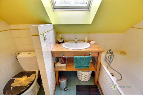 Saint-GildasTournesol的一间带水槽和卫生间的小浴室