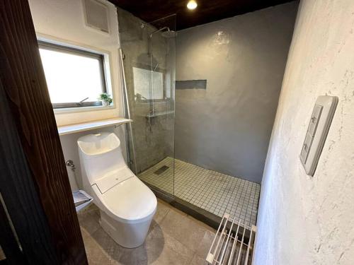 白马村AOBA Hakuba self-contained home的一间带卫生间和淋浴的浴室
