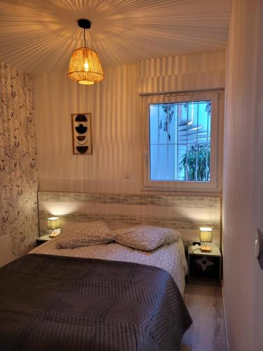 弗龙蒂尼昂Tahiti Beach的一间卧室设有一张床、一个窗户和一个吊灯。