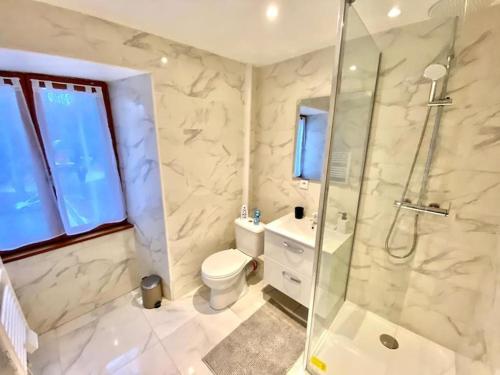 奥布河畔巴尔Maison individuelle atypique sur 2 étages的带淋浴、卫生间和盥洗盆的浴室