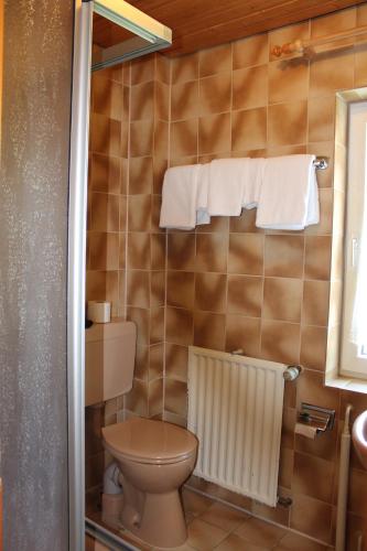 肖顿Berggasthof Hoherodskopf的一间带卫生间和毛巾的小浴室