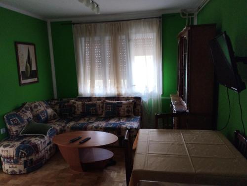 BrusVila Mihajlovic的客厅设有绿色的墙壁、一张沙发和一张桌子