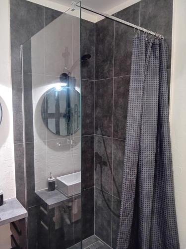 奥格雷Daugavas apartamenti的带淋浴、水槽和镜子的浴室