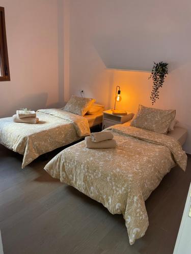 坎德拉里亚Apartamento RODA - Candelaria的一间卧室配有两张床和一盏灯。