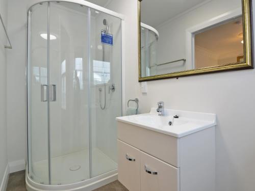 惠灵顿Richmond Guest House的带淋浴、盥洗盆和镜子的浴室
