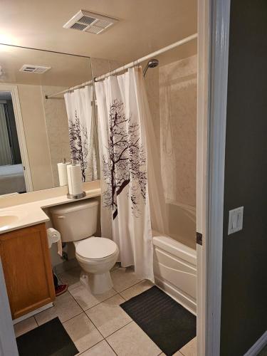 多伦多Private Ensuite Room in Luxury Condo的一间带卫生间和淋浴帘的浴室