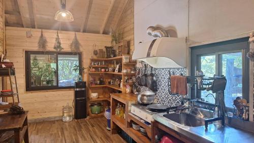 泰安乡莎力亩民宿的厨房配有炉灶、水槽和窗户。