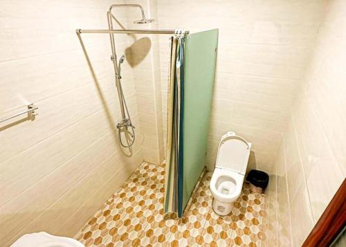 维拉港Crown Royale Hotel & Lounge的一间带卫生间和淋浴的小浴室