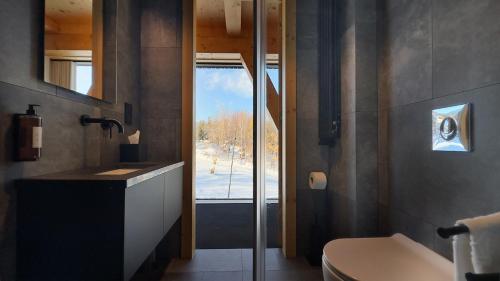 卡尔帕奇Wilcza For Rest的一间带水槽和卫生间的浴室以及窗户。