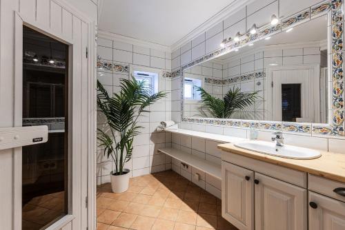 海姆瑟达尔Tinden Apartments的一间带水槽和大镜子的浴室