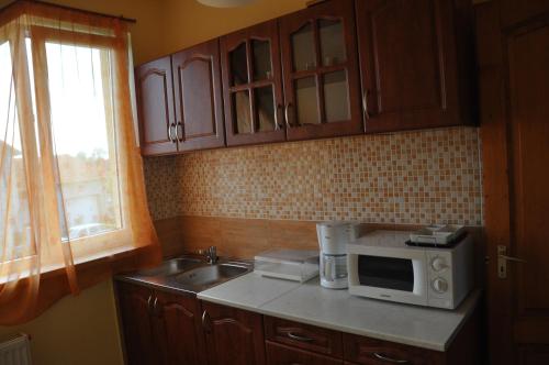 莫劳豪洛姆Maros Vendégház的厨房配有水槽和微波炉