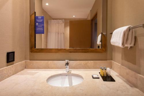 圣米格尔·德·图库玛图库曼希尔顿花园酒店的一间带水槽和镜子的浴室