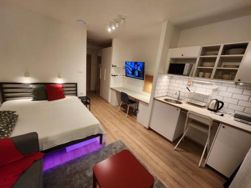 德布勒森Apartman 18的小型公寓 - 带床和厨房