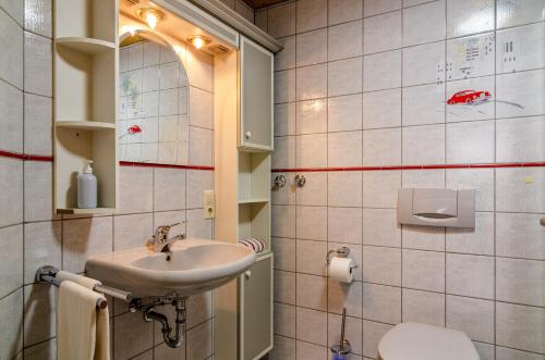 特里贝格Schwarzwald Nescht Triberg的一间带水槽和卫生间的浴室