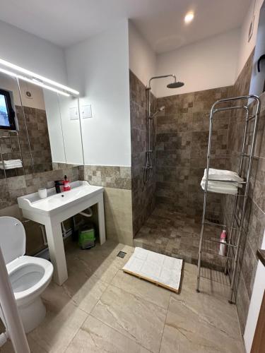 克拉约瓦Conta Apartments的带淋浴、卫生间和盥洗盆的浴室