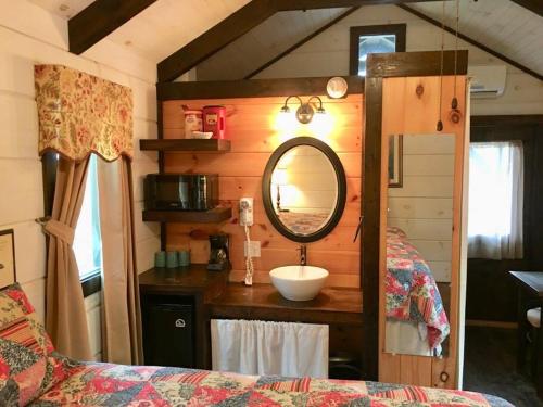 赛维尔维尔Tiny Home Cottage Near the Smokies #6 Greta的客房内的浴室设有水槽和镜子