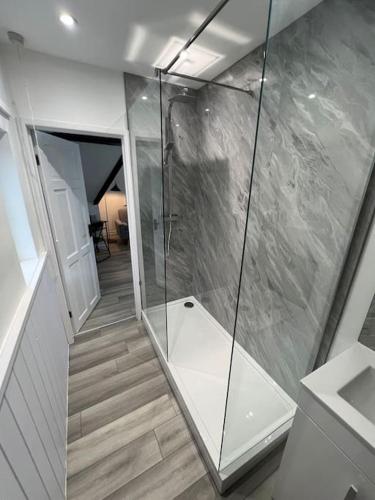 贝德福德Cozy One Bedroom Flat In Bedford - Free Parking & Free WIFI的一间带玻璃门步入式淋浴间的浴室