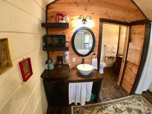 赛维尔维尔Tiny Home Cottage Near the Smokies #8 Helga的一间带水槽和镜子的浴室