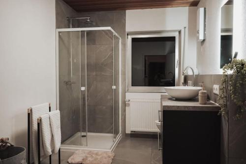 拉姆斯泰因-米森巴赫Charmantes & offenes Apartment的带淋浴和盥洗盆的浴室