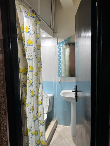 梅克内斯appartement familiale的浴室设有淋浴帘和鸭子