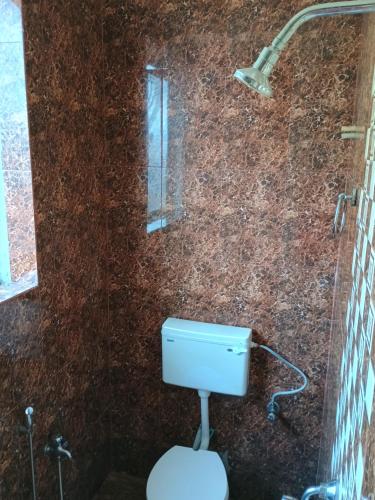 瓦加托GS Home Delux Sea and forest view Apartment的一间带卫生间和淋浴的浴室