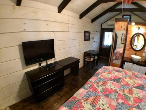 赛维尔维尔Tiny Home Cottage Near the Smokies #11 Mina的一间卧室配有一张床和一台平面电视