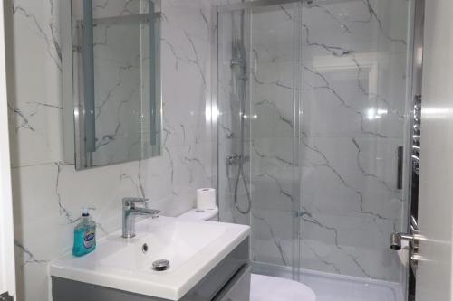 达特福德Ground Floor 1 Bed Flat Dartford- 1 - Fully Equipped - Fibre Wifi的一间带水槽和淋浴的浴室