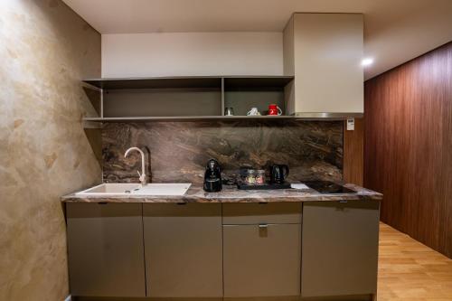 蒂米什瓦拉ATLAS Hotel的厨房配有水槽和台面
