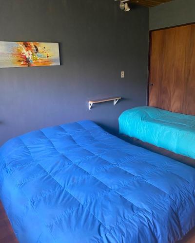 埃博森HOSTEL PEHUENIA的配有蓝色床单的客房内的两张床