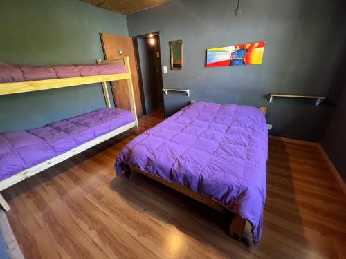 埃博森HOSTEL PEHUENIA的一间卧室配有两张双层床和紫色床单