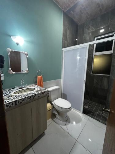 查帕拉Departamentos colibri y tortuga的浴室配有卫生间、盥洗盆和淋浴。